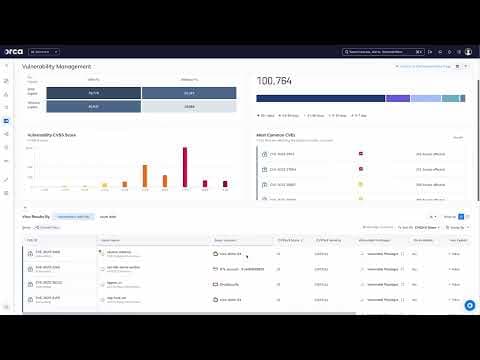 Orca Security video thumbnail