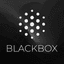 Blackbox AI