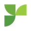 Responsive icon