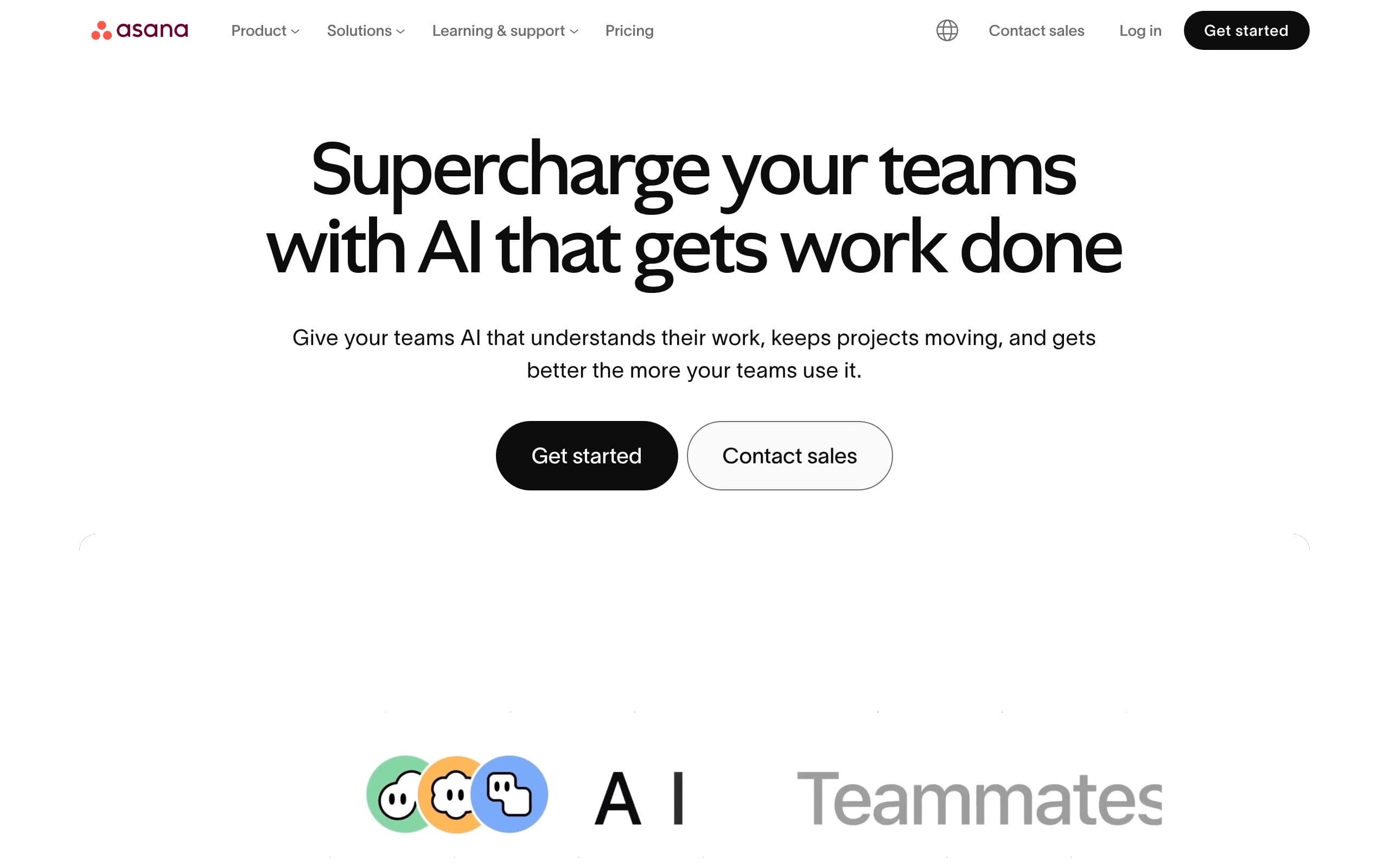 Asana screenshot 2