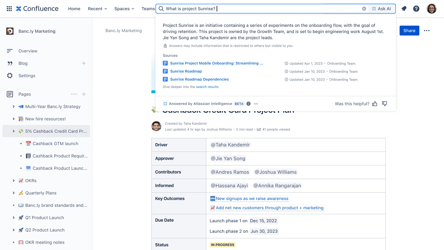 Confluence screenshot 4