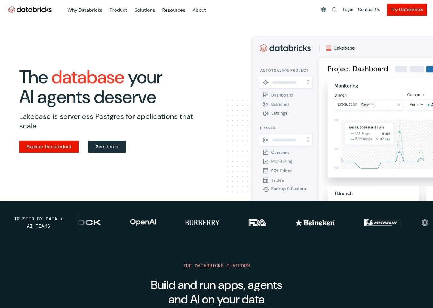 Databricks screenshot 2
