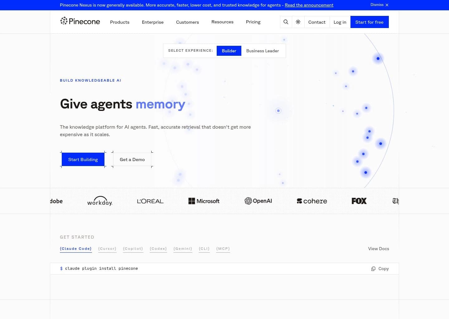 Pinecone screenshot 2