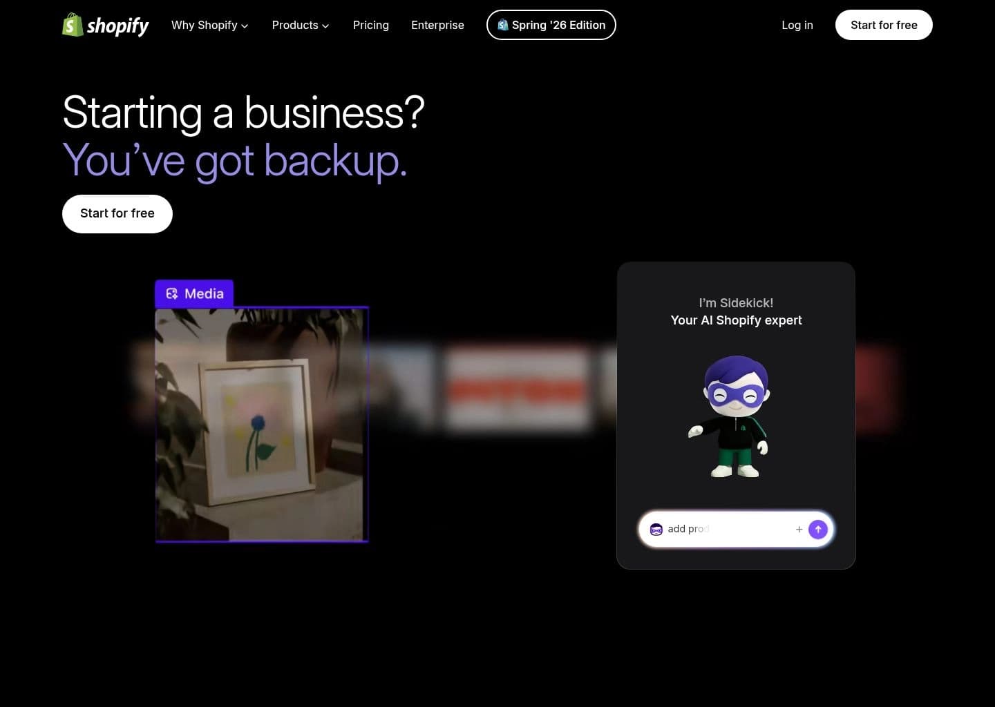 Shopify Sidekick screenshot 2