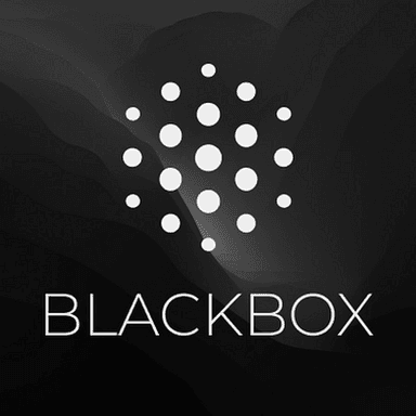 Blackbox AI Logo — High-Trust AI Coding and Inference Platform Blackbox AI official logo — high-trust AI coding platform with 300+ models, 4.2M VS Code installs, enterprise inference, and zero data retention