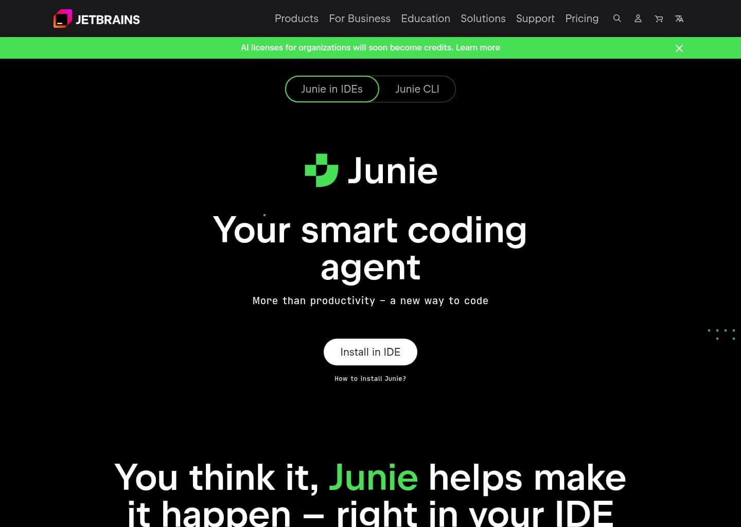 Junie screenshot 3