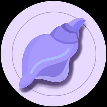 Conch AI