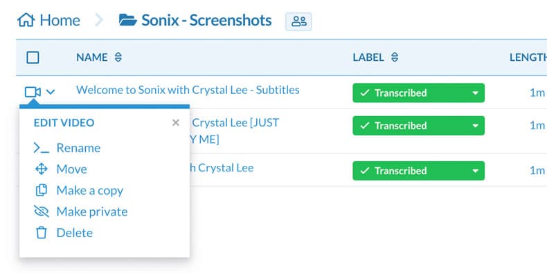 Sonix screenshot 6