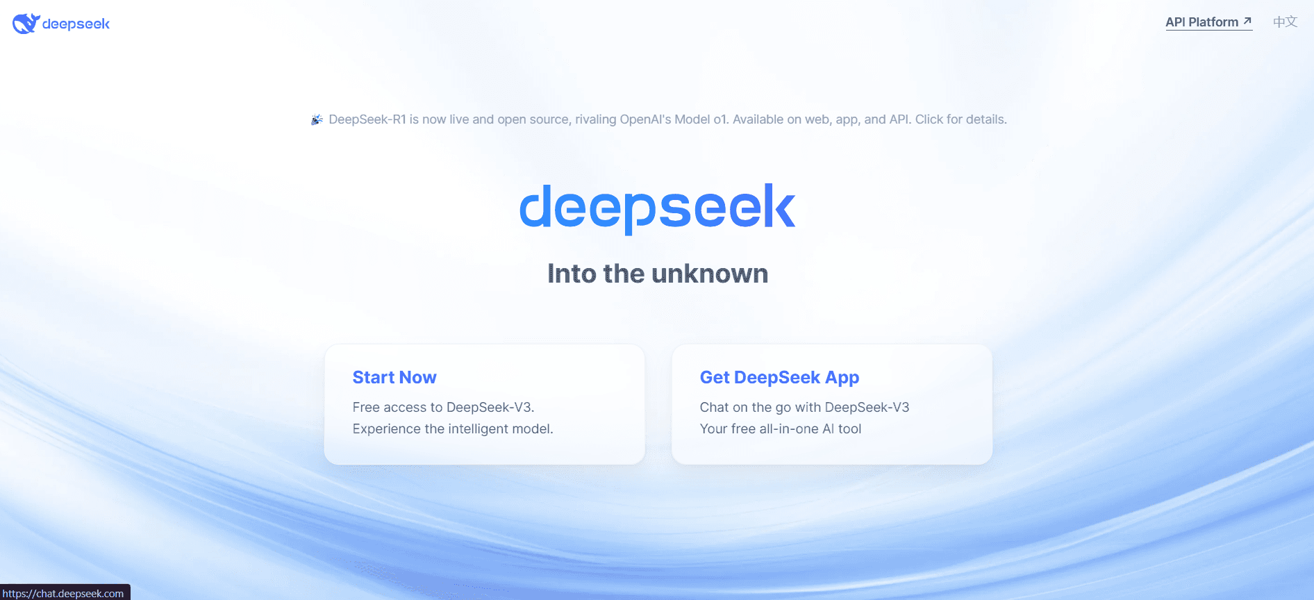 DeepSeek screenshot 6